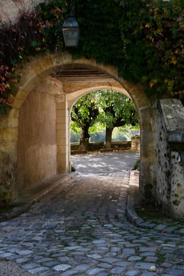 Chateau De Nazelles Amboise Bed & Breakfast Exterior photo